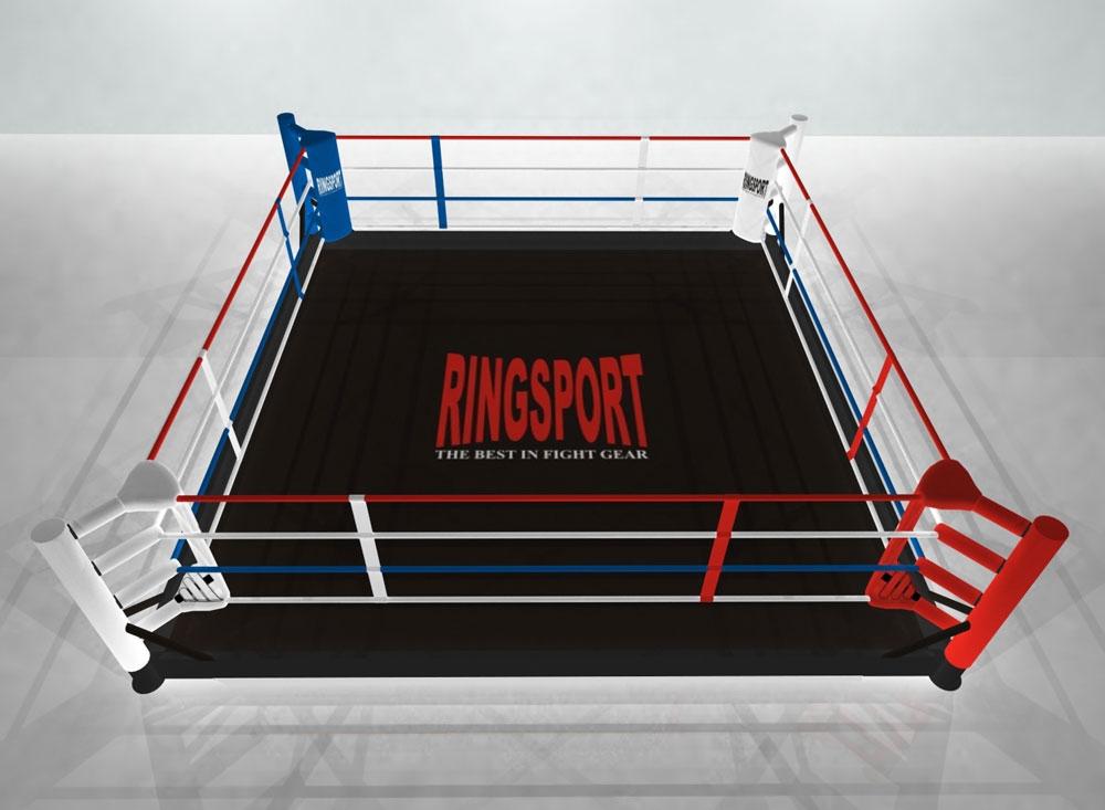 Free standing boxing ring