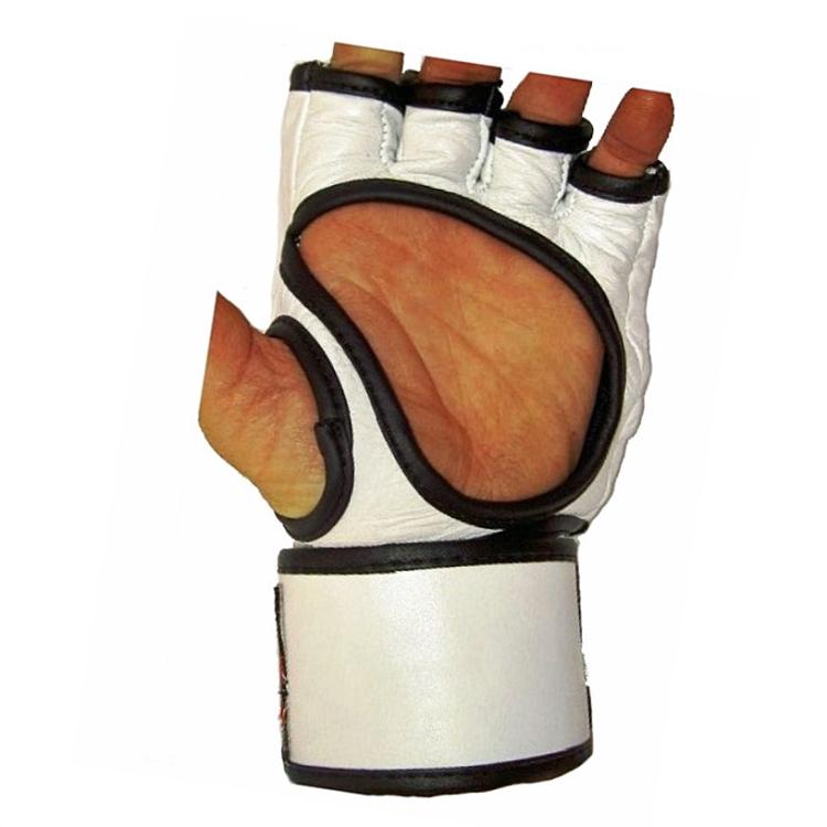 MMA 2  training gloves 1