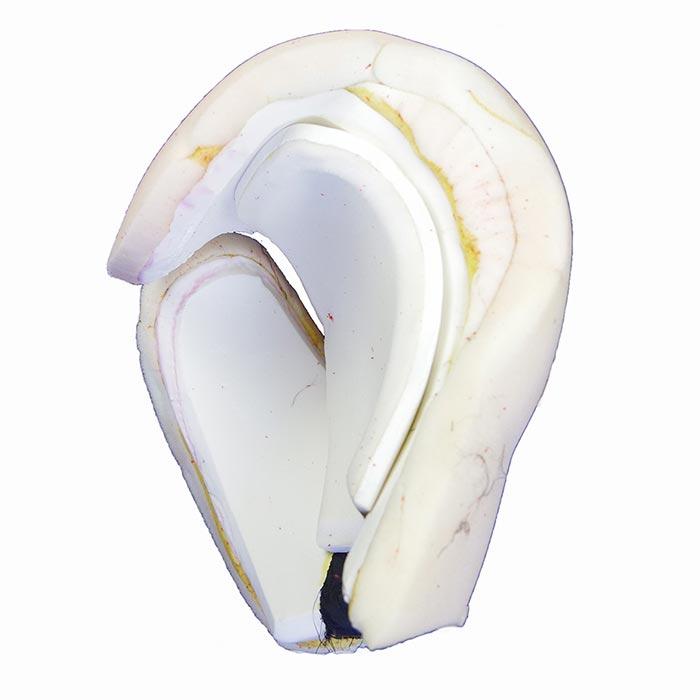 Internal foam padding
